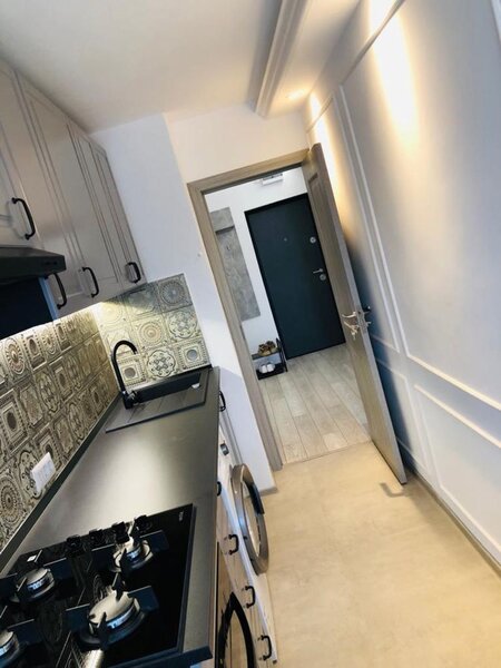 Lacul Tei, Doamna Ghica